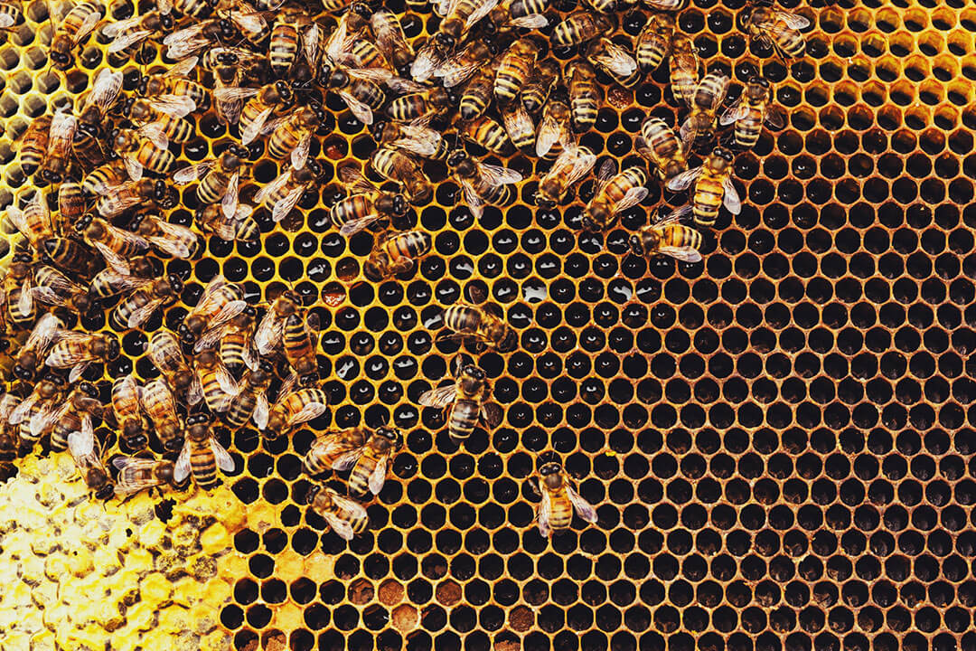 Attracting Talent During a Worker Shortage